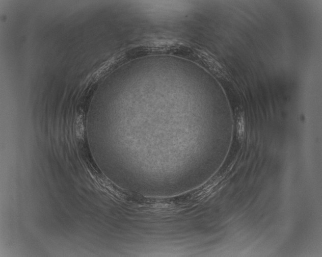 X0000067401204200603311315