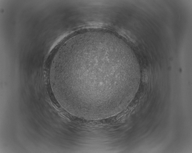 X0000067401208200603311315