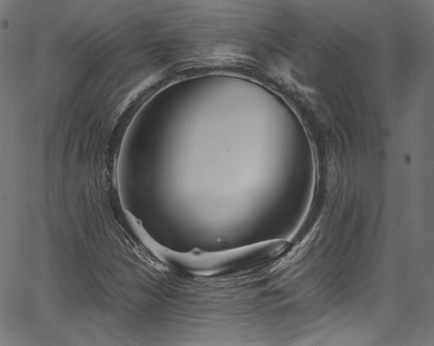 X0000067401210200603311315