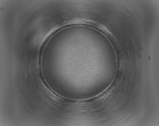 X0000067401216200603311315