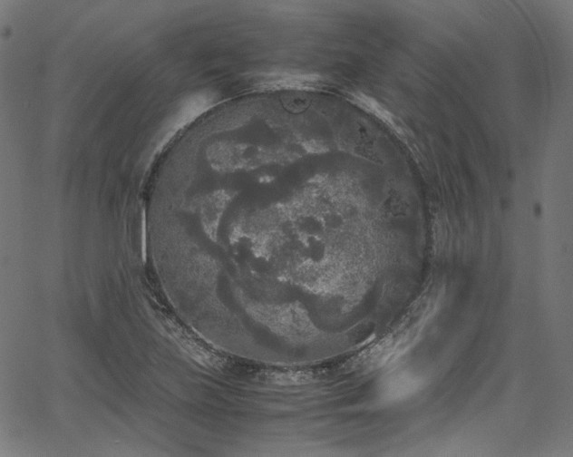 X0000067401219200603311315