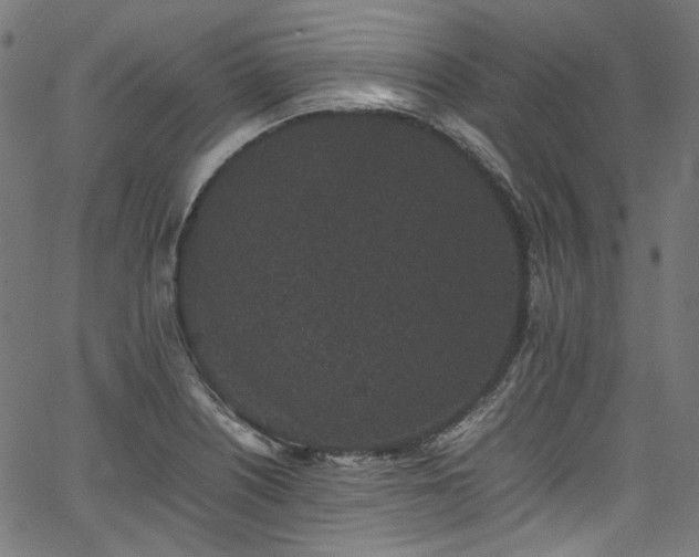 X0000067401226200603311316