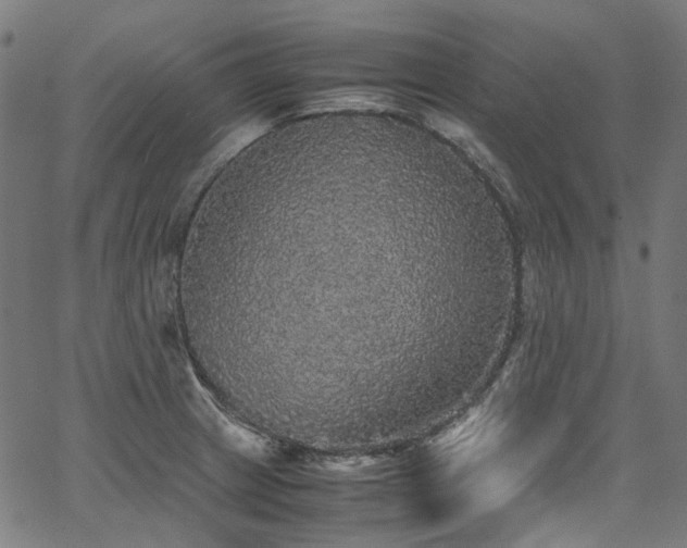 X0000067401233200603311316