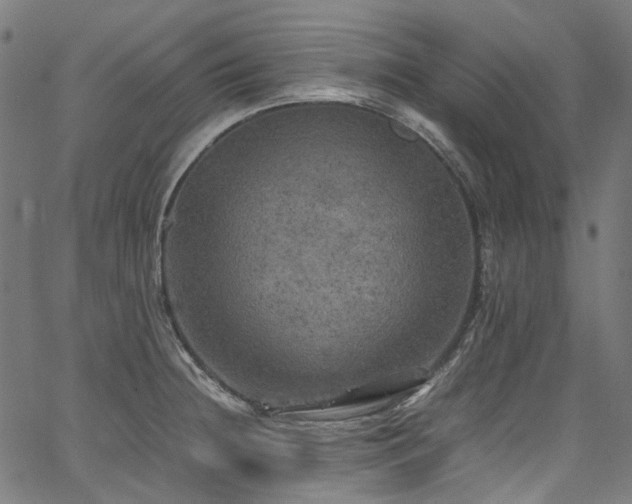 X0000067401236200603311316