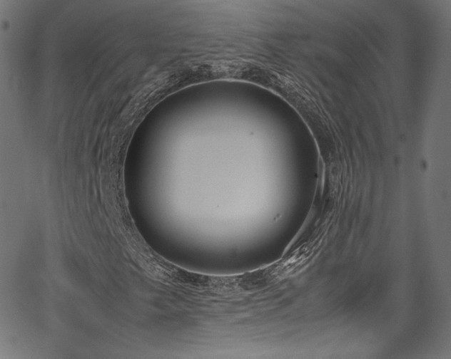 X0000067401249200603311315