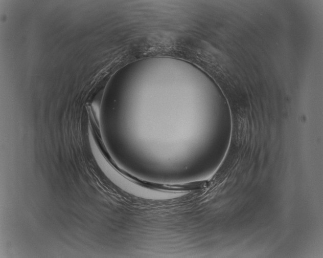 X0000067401250200603311315