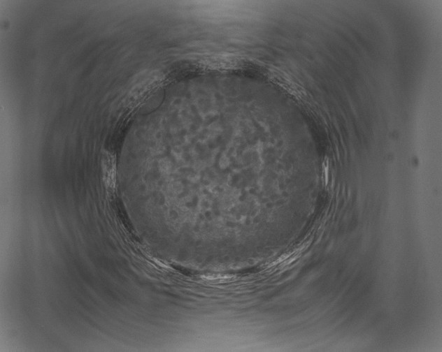 X0000067401251200603311315