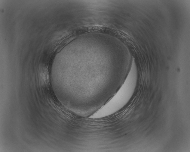 X0000067401252200603311315