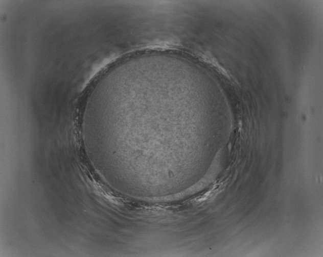 X0000067401256200603311315