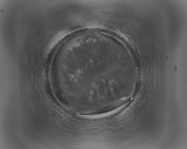 X0000067401263200603311315