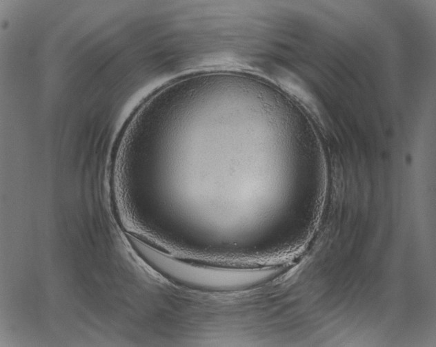 X0000067401288200603311315