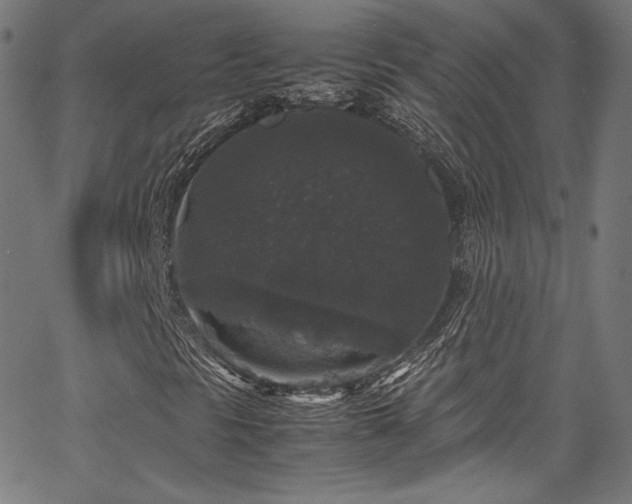 X0000067401297200603311314