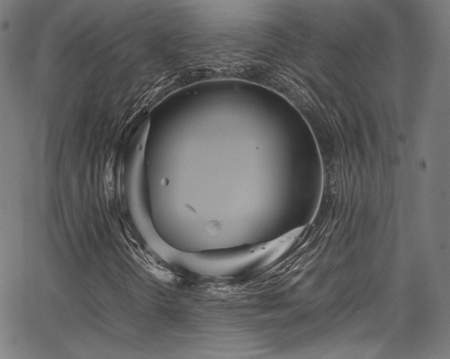 X0000067401298200603311314
