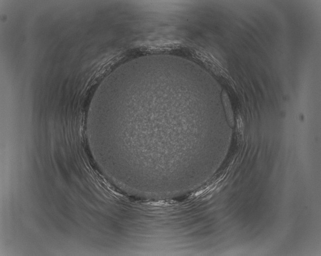 X0000067401300200603311314