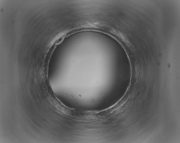 X0000067401308200603311314