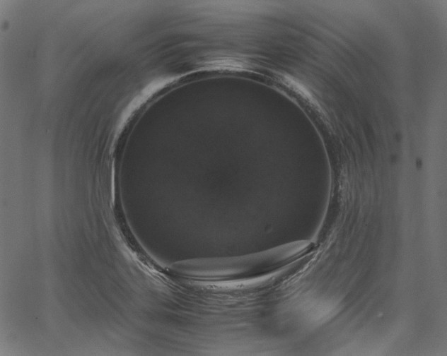 X0000067401323200603311314