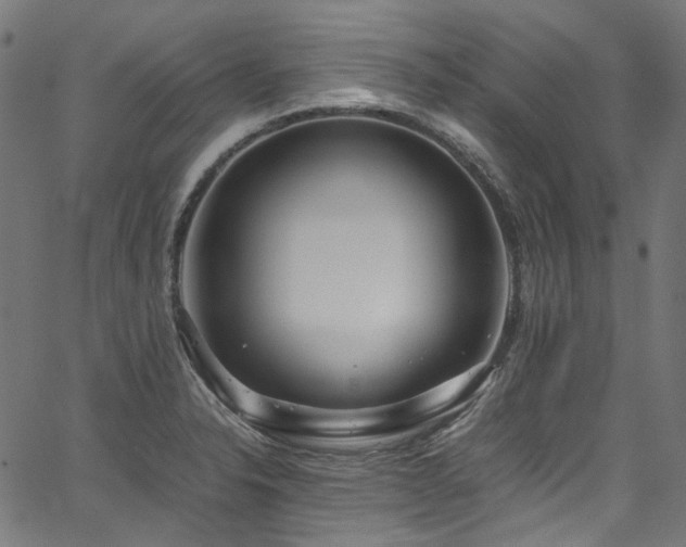 X0000067401326200603311314