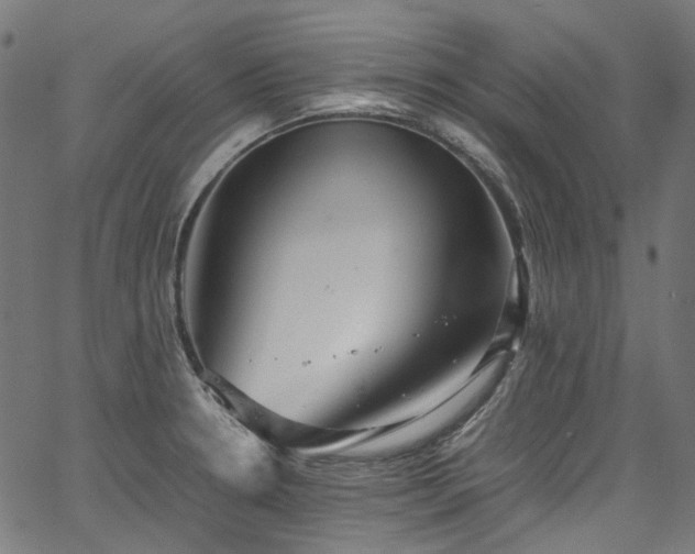 X0000067401330200603311314