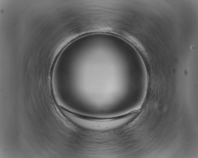 X0000067401332200603311314