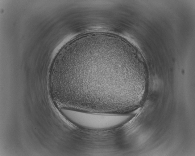 X0000067401333200603311314