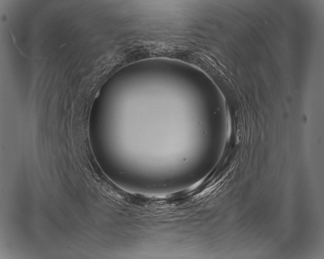 X0000067401345200603311314