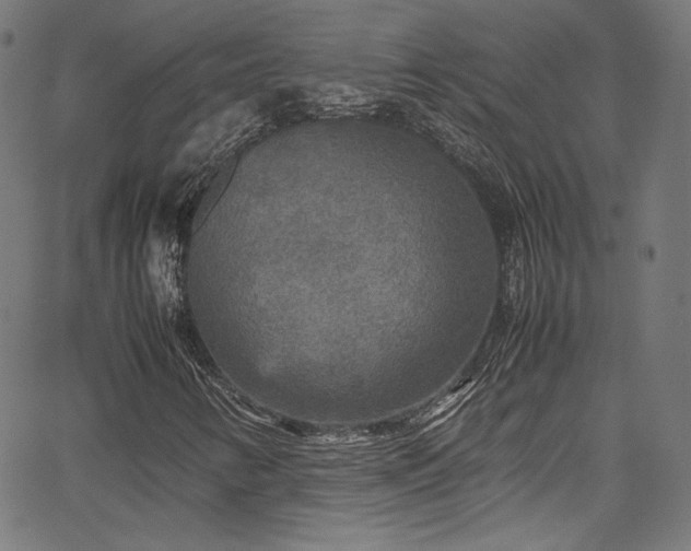 X0000067401346200603311314