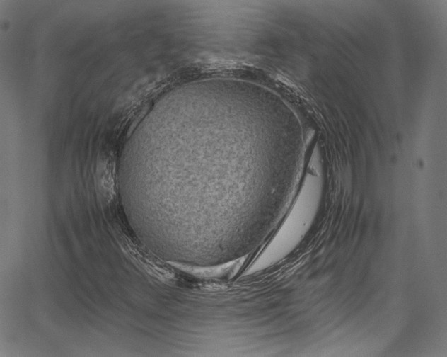 X0000067401348200603311314