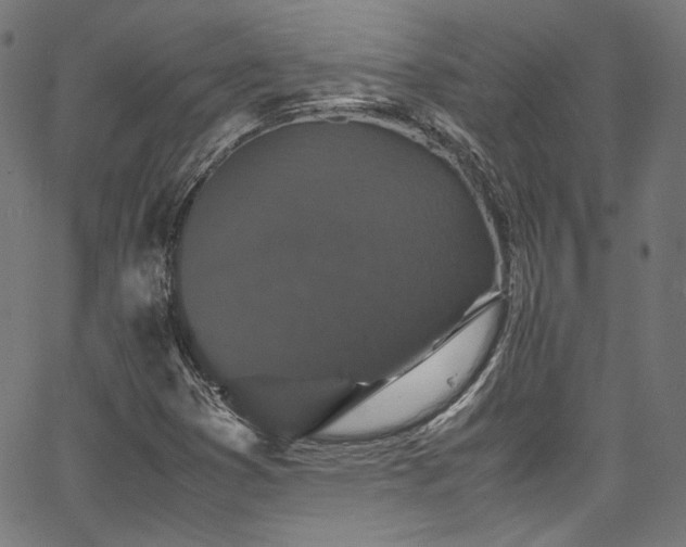 X0000067401353200603311313