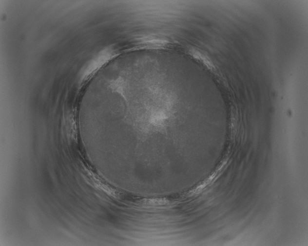 X0000067401354200603311313