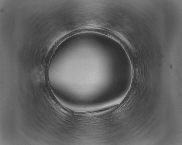 X0000067401356200603311313