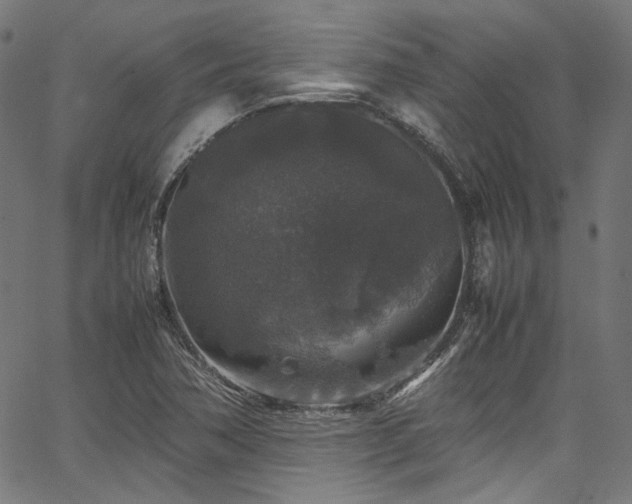 X0000067401362200603311313