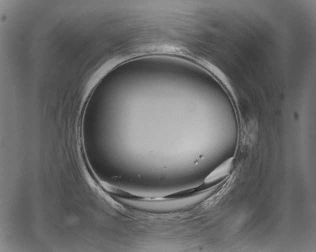 X0000067401389200603311313