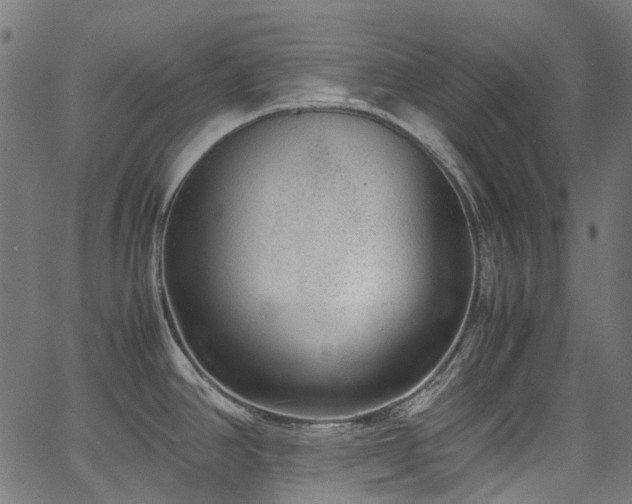 X0000067401390200603311313