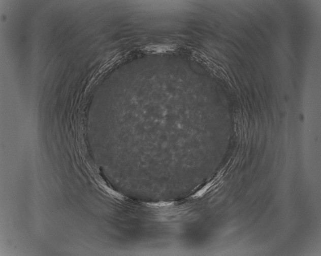 X0000067401393200603311312