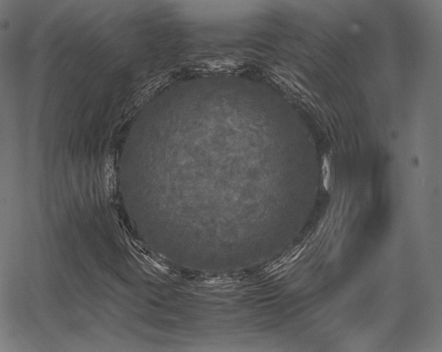 X0000067401395200603311312