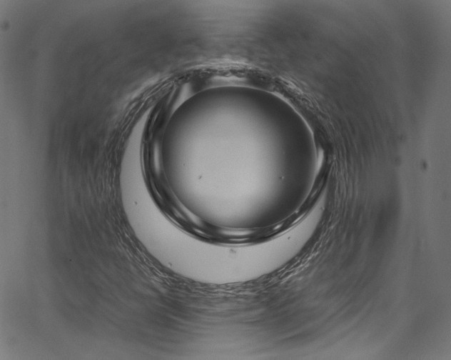 X0000067401398200603311312