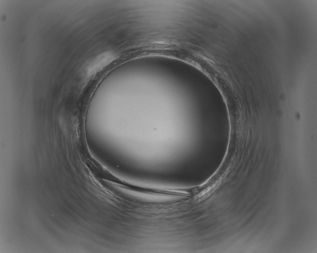 X0000067401402200603311312