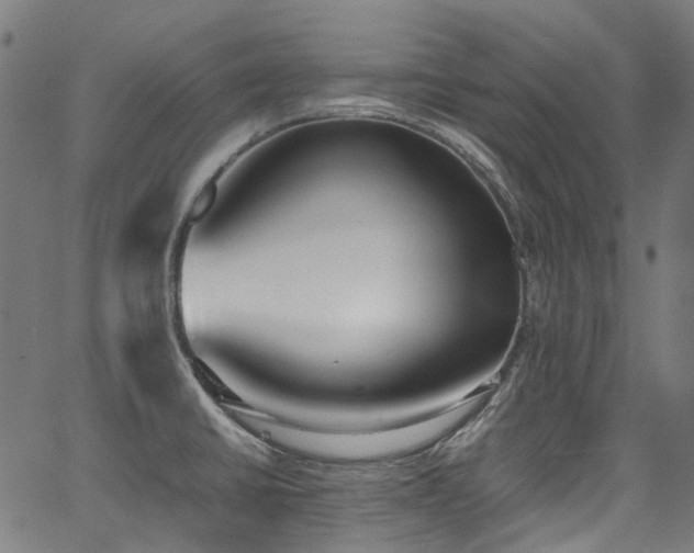 X0000067401430200603311313