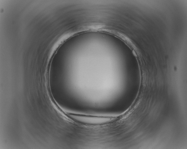 X0000067401432200603311313
