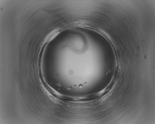 X0000067401434200603311313