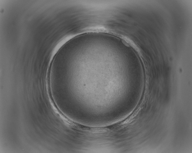 X0000067401440200603311313