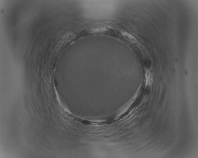 X0000067401441200603311312
