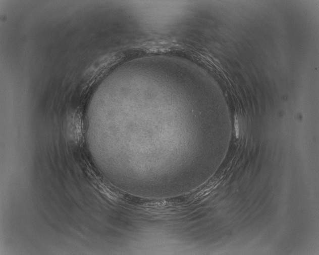 X0000067401444200603311312