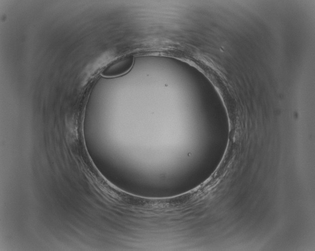 X0000067401451200603311312