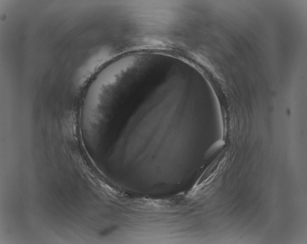 X0000067401455200603311312