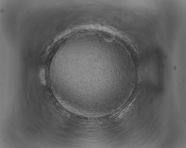 X0000067401494200603311311