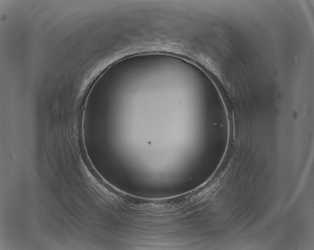 X0000067401500200603311311