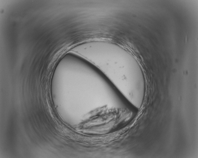 X0000067400001200604031109