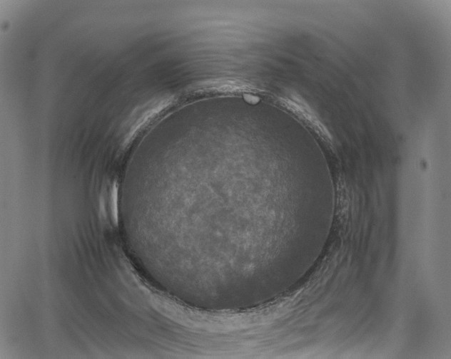 X0000067400014200604031109
