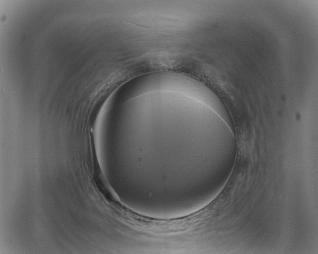 X0000067400027200604031109